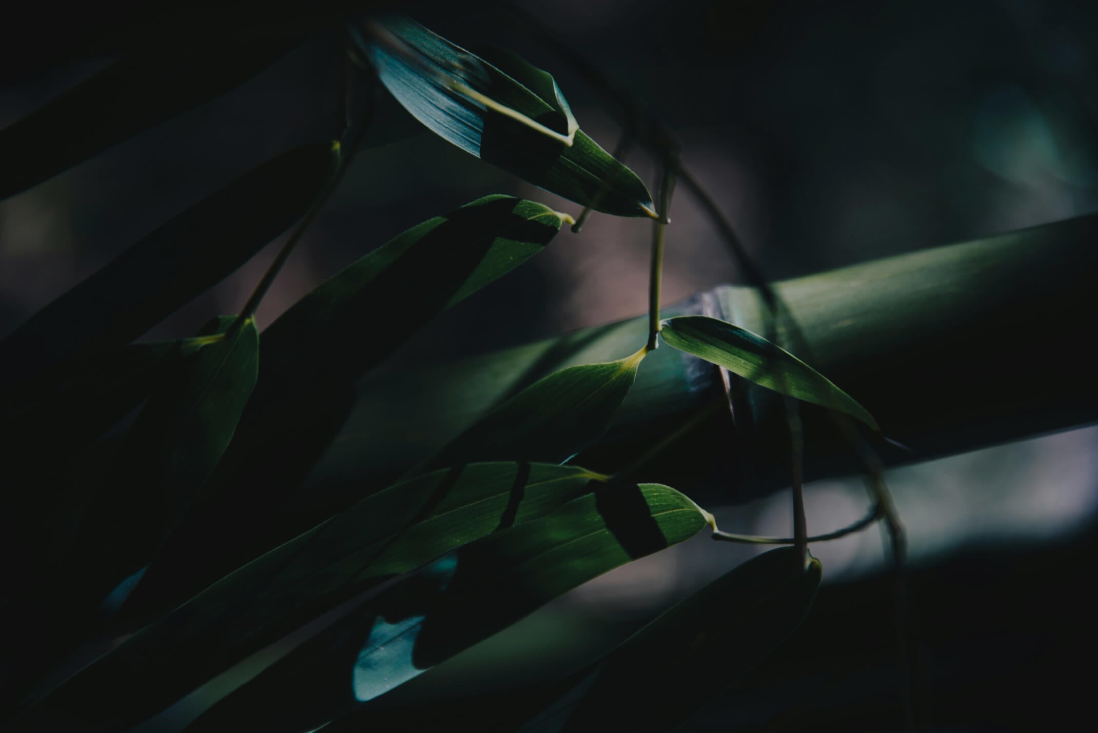 Sustainability Image Banner