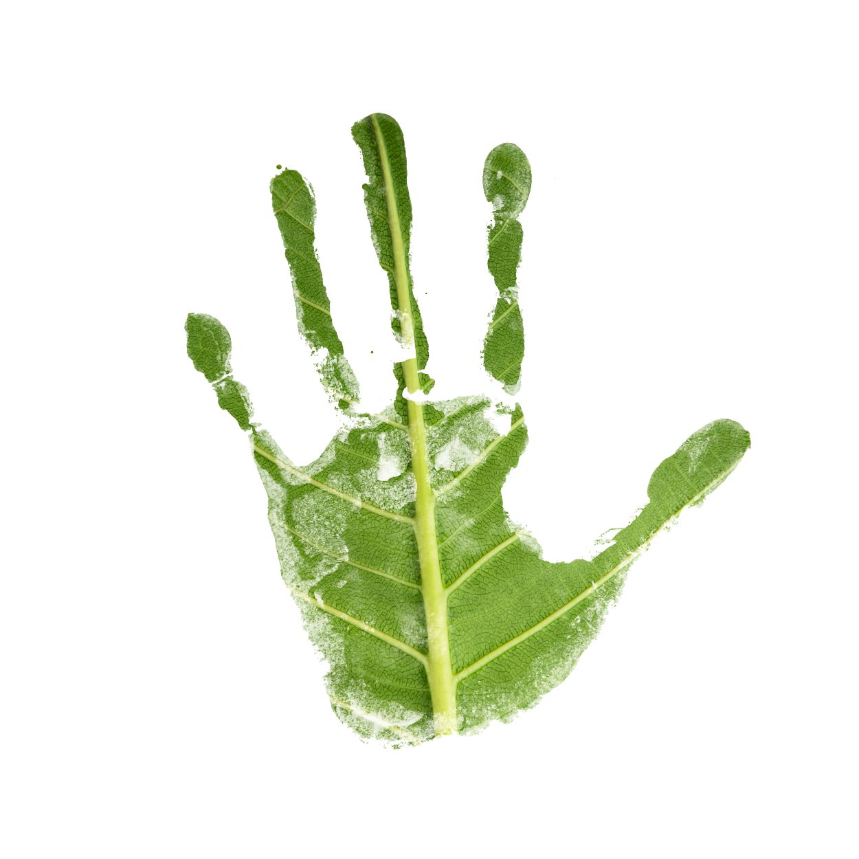 Sustainability Green Hand 