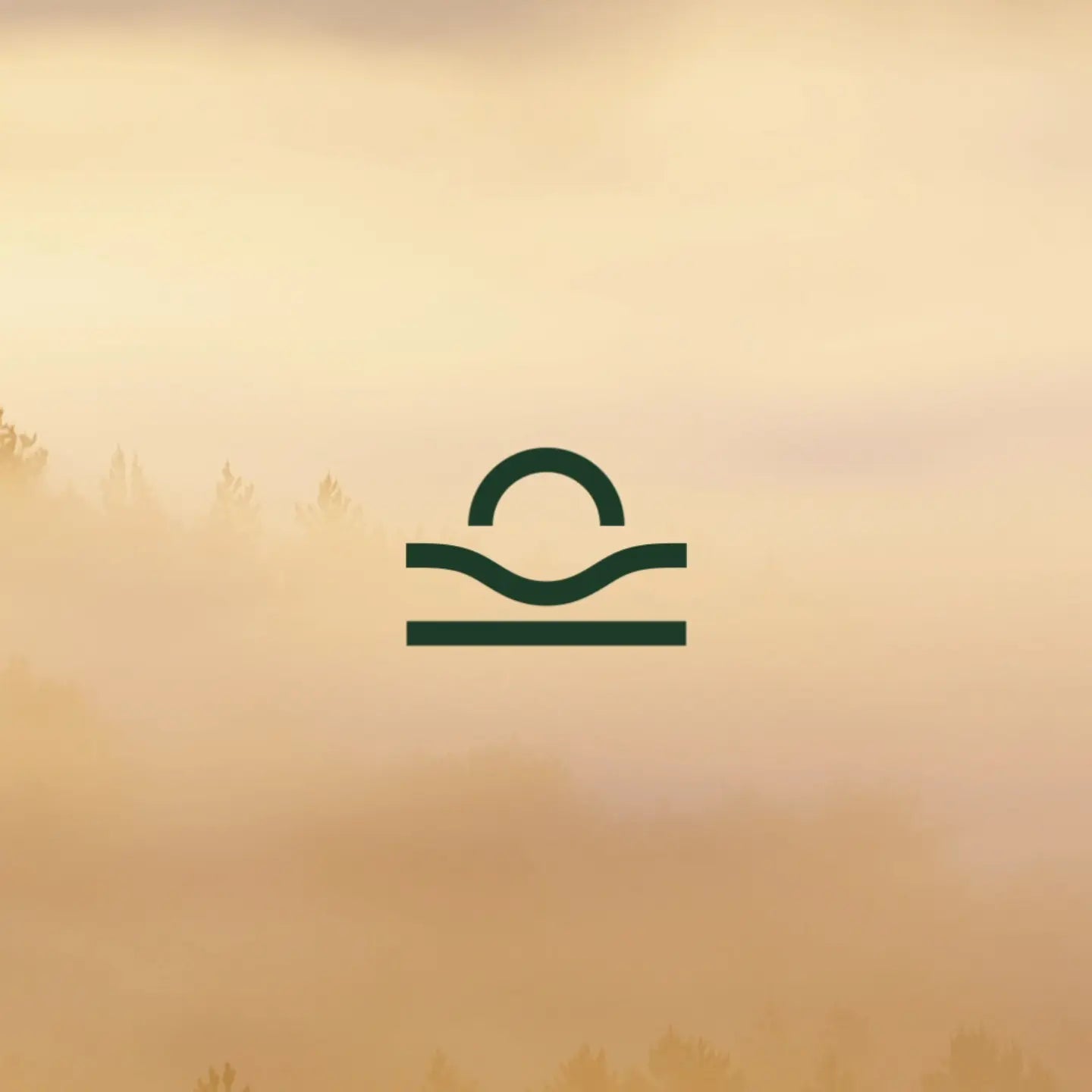 Lost Loom Brand Video